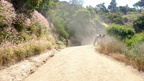 Griffith Park (97)